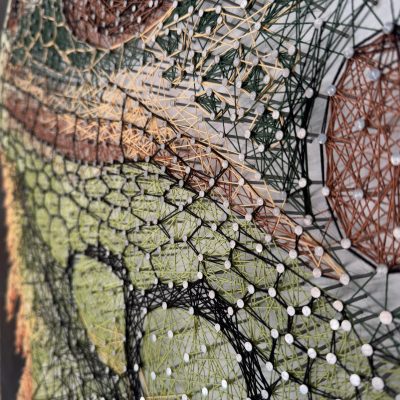 WhatsApp Image 2025-10-01 at 13.05.24